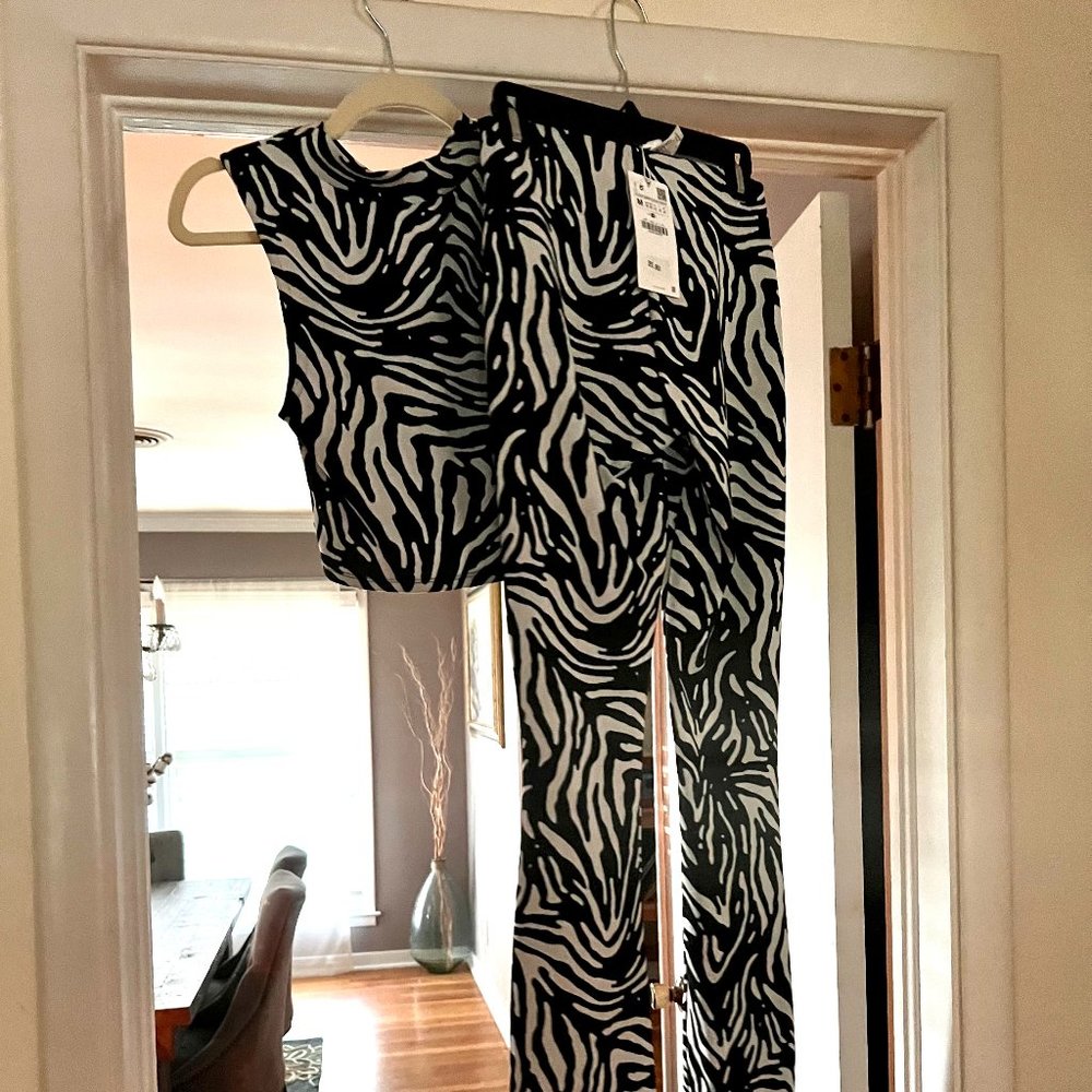 ZARA zebra print (!) two-piece set, small, NWT, NEVER WORN! UNIQUE FIND!